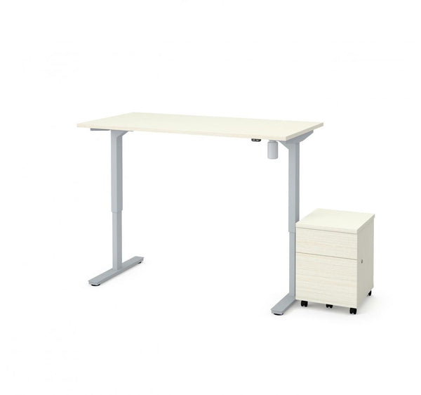 60W x 30D Standing Desk with Mobile Pedestal
