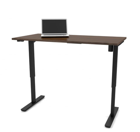 30“ x 60“ Standing desk