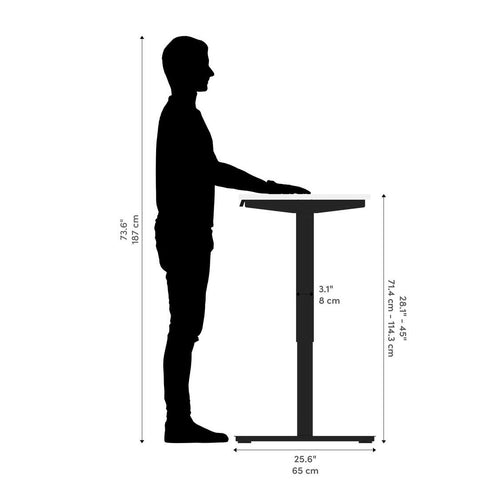 48W x 24D Standing Desk