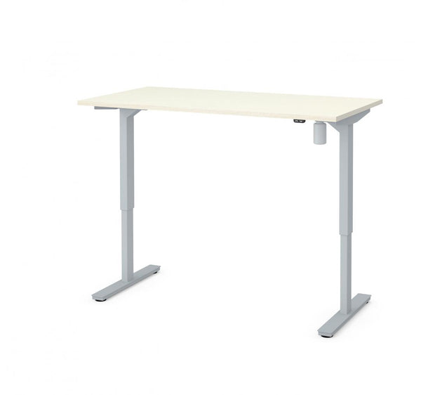 60W x 30D Standing Desk