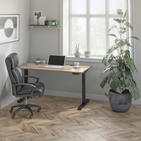 60W x 30D Standing Desk