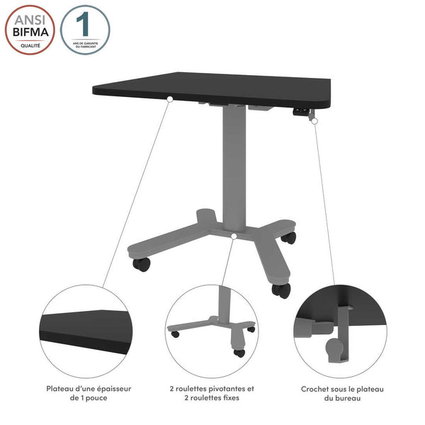 36W x 24D Small Standing Desk