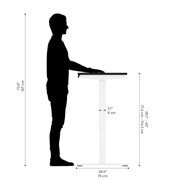 48W x 24D Electric Standing Desk