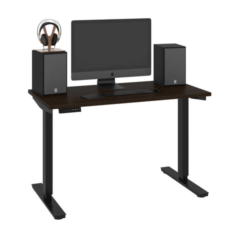 48W x 24D Standing Desk