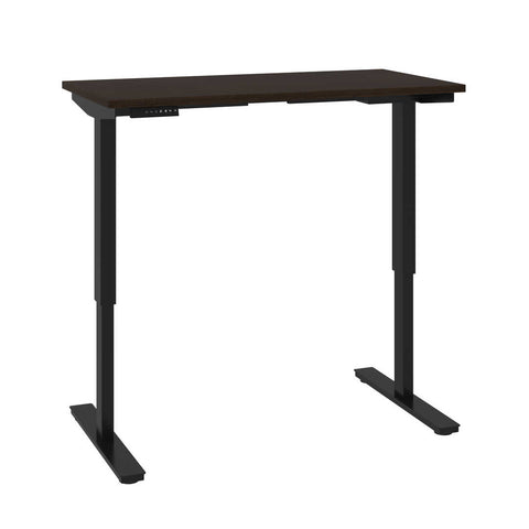 48W x 24D Standing Desk