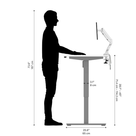 72W x 30D Standing Desk with Dual Monitor Arm