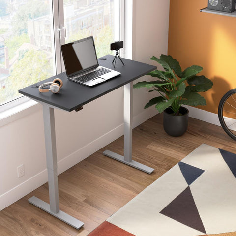 48W x 24D Standing Desk