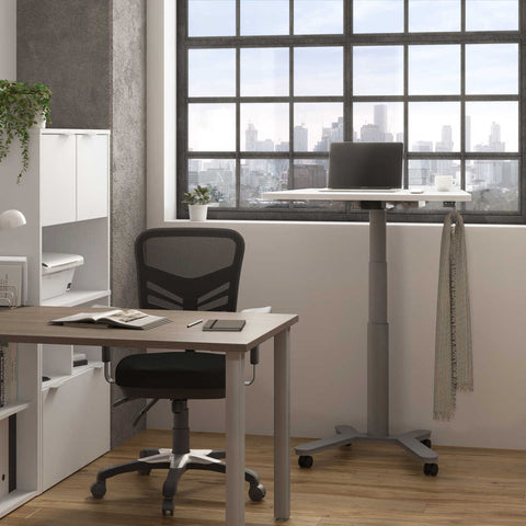 36W x 24D Small Standing Desk