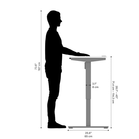 48W x 24D Standing Desk