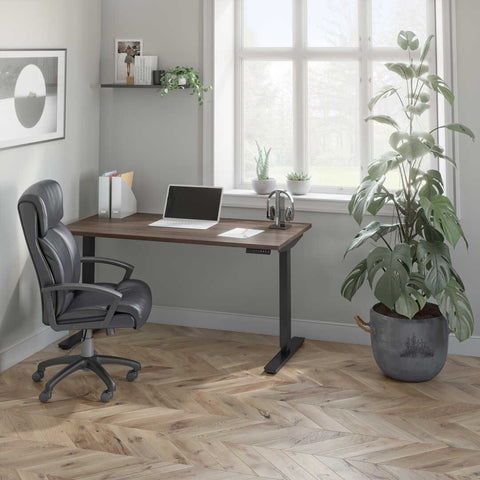 60W x 30D Standing Desk