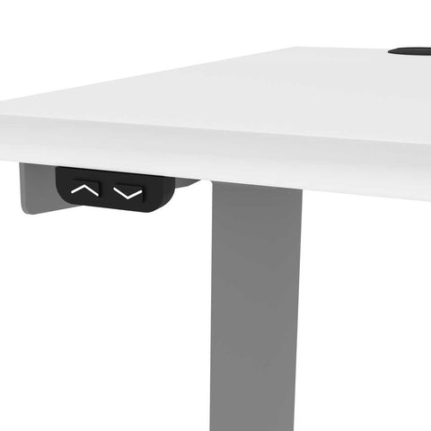 48W x 24D Standing Desk with Dual Monitor Arm