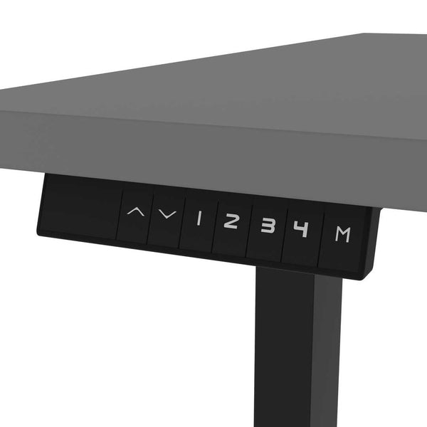 60W x 30D Standing Desk