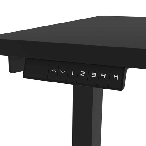 48W x 24D Standing Desk