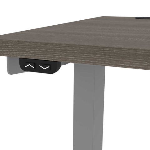 48W x 24D Standing Desk