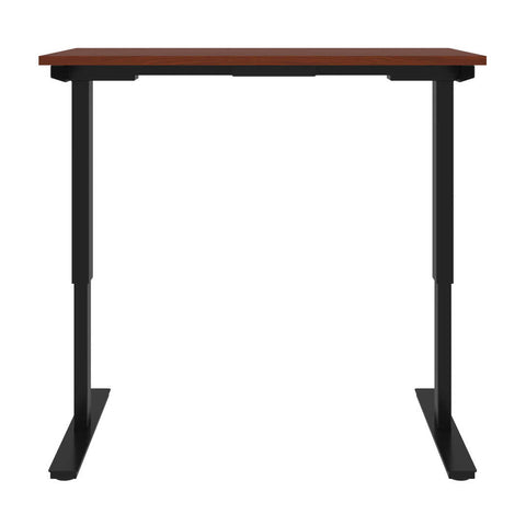 48W x 24D Standing Desk