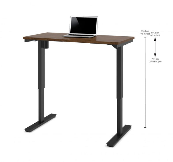 48W x 24D Standing Desk