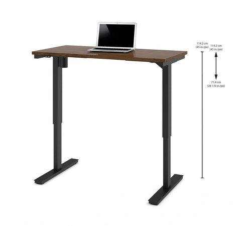 48W x 24D Standing Desk
