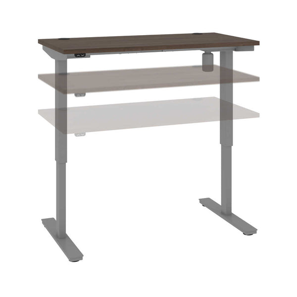48W x 24D Standing Desk