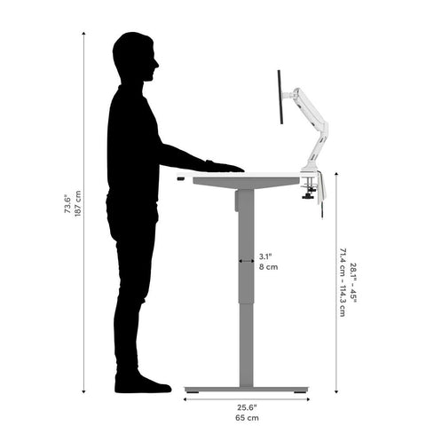 60W x 30D Standing Desk with Dual Monitor Arm
