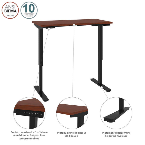 48W x 24D Standing Desk