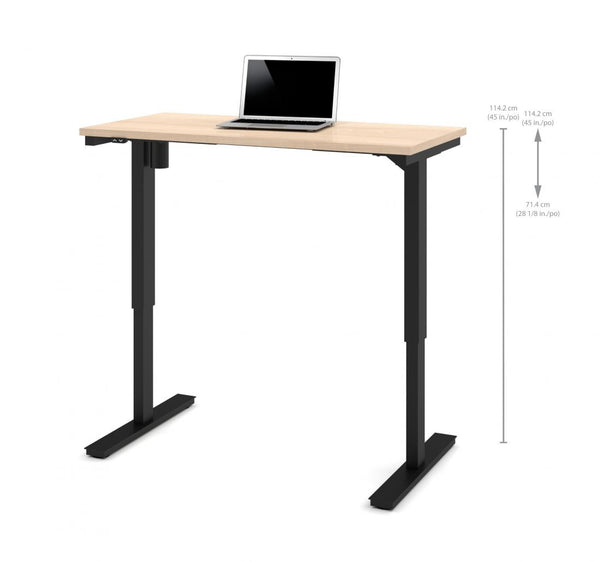 24“ x 48“ Standing Desk
